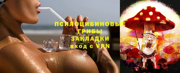 не бодяженный Алексин